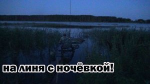 Рыбалка на линя с ночёвкой 15 июля на удочку на поплавки с настила и применяю один совет