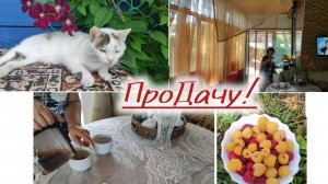 Утром кофе, днём окрошка, весы работают!