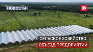 Сельхозпредприятия района Лазо проверило краевое министерство.17/07/2026