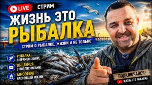 СТРИМ по просьбе - спиннинги / рыба / тактика / что делать / что купить