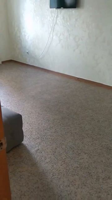 Моск смотреть онлайн