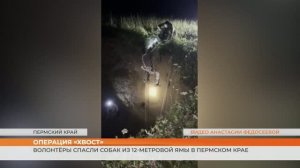 Волонтёры спасли двух собак из 12-метрового карстового провала в Пермском крае
