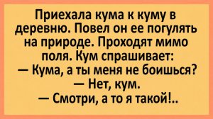 Приехала кума к куму в деревню... | Анекдоты смешные | Юмор