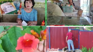 Распаковка продуктов, разбираю аптечку на даче!