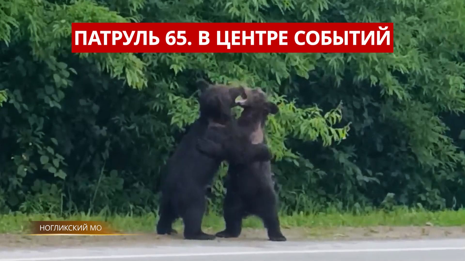 ПАТРУЛЬ 65. Выживал 9 дней в лесу, обвал грунта и 3,5 года за интим-салон. Сахалин 17.07.26
