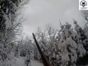 Архивные-кадры-2