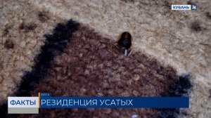 На заваленную мусором квартиру пожаловались жители многоэтажки в Ейске