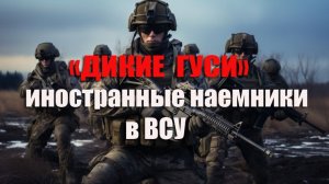 «Дикие гуси» Наемники из Южной Америки на службе ВСУ» Украинцев уже не хватает!