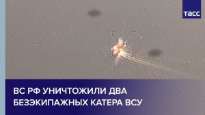 ВС РФ уничтожили два безэкипажных катера ВСУ
