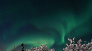 «Картинки, которые обманывают глаз (оптические иллюзии)»