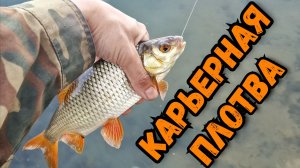 Пугливая плотва на колеблющуюся блесну Клеваш на карьере
