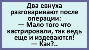Два евнуха разговаривают после операции... | Анекдоты смешные | Юмор