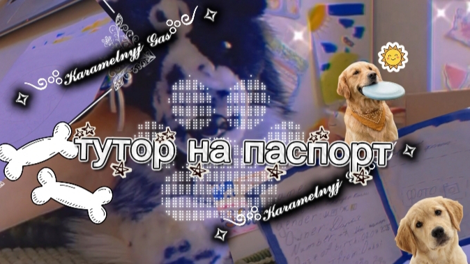 Обзор+Тутор на вет паспорт для плюшки.#ПДБ смотреть онлайн