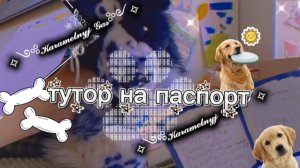 Обзор+Тутор на вет паспорт для плюшки.#ПДБ