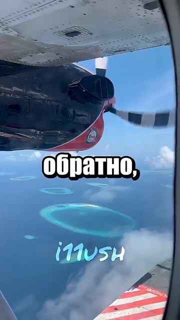 17-07-2026 смотреть онлайн