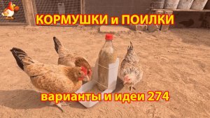 Кормушки и поилки для кур своими руками (274) 🪚✂️ Пошаговая инструкция как сделать 🐔 🐓❣️