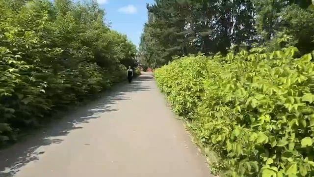 Путь к клинике с остановки площадь Волкова смотреть онлайн