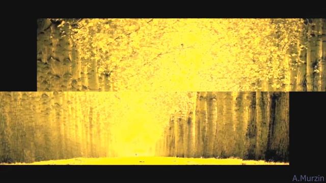NTG - Golden dust смотреть онлайн