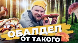 ГРИБНИК ЗАШЁЛ НА НЕХОЖЕНЫЕ МЕСТА И ОБАЛДЕЛ. СБОР БЕЛЫХ ГРИБОВ. ЗАГОТОВКА ГРИБОВ НА ЗИМУ