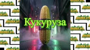 Кукуруза