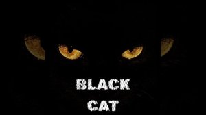 Black Cat M/V Black Venom