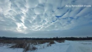 Воронежская область. Зимний день. 14.01.2024г