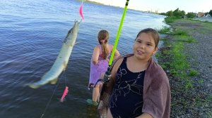 Море мелкой ЩУКИ не дают рыбачить на спиннинг в Астрахани.