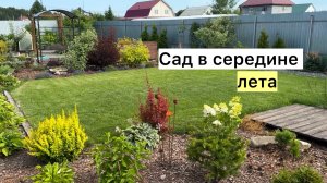 Как выглядят растения на экваторе сезона! Небольшой обзор!