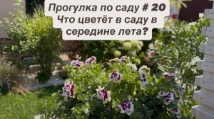 Прогулка по саду # 20. Что цветёт в саду в середине лета