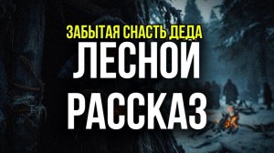 ЗАБЫТАЯ СНАСТЬ ДЕДА ЛЕСНОЙ РАССКАЗ
