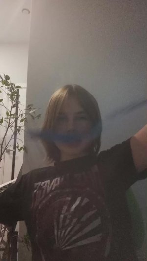 игрушка для кота