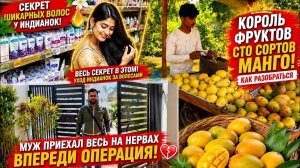 КАК ВЫЖИВАЕТ РУССКОЯЗЫЧНАЯ ЖЕНА В ИНДИИ: ПОЧЕМУ ПЛОХО ПАХНУТ ИНДИЙЦЫ& УХОД ЗА ВОЛОСАМИ- НЕ ВЕДИТЕСЬ