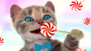 ПРИКЛЮЧЕНИЯ МАЛЕНЬКОГО КОТЕНКА