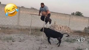 Попробуй не засмеяться:  😂 Самые вирусные смешные видео и мемы 2026 года 😁