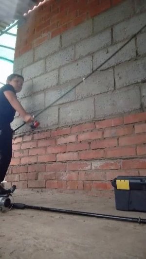 1 тронсляция
