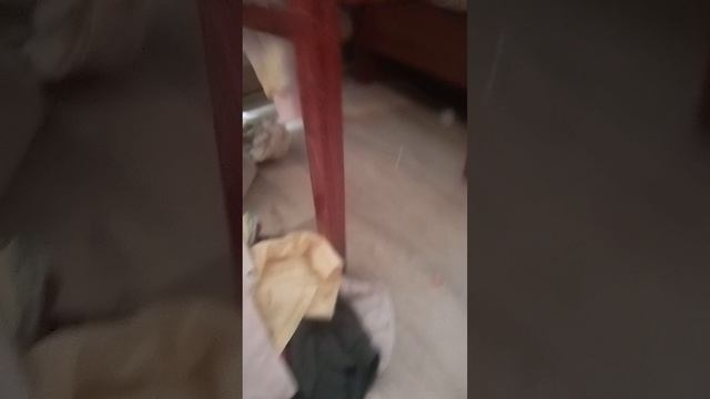 VID_20260717_171707.mp4 смотреть онлайн