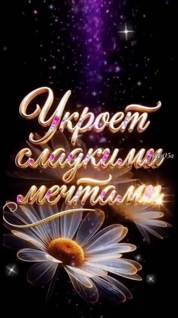 1000006618.mp4 смотреть онлайн