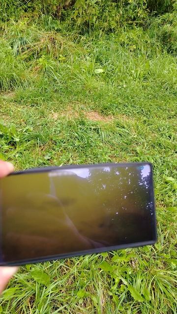 Удаленное видеонаблюдение с подводной камеры на смартфоне смотреть онлайн