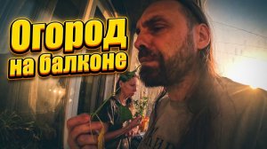 Огород на балконе
