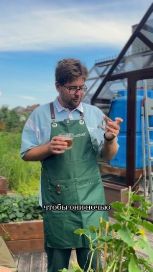 ИСПАНСКИЕ СЛИЗНИ