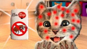 Приключение милого котенка и м