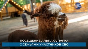 Посещение альпака парка с семьями участников СВО