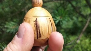 Шкатулка в июльском лесу на сосне