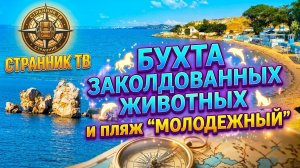 Бухта заколдованных животных и пляж Молодежный.