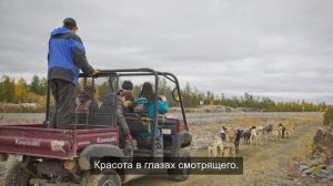 «Картинки из аниме: эстетика японской культуры»
