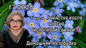 1 часть. Очкастая КОБРА против вислопузой СВИНЬИ❗️