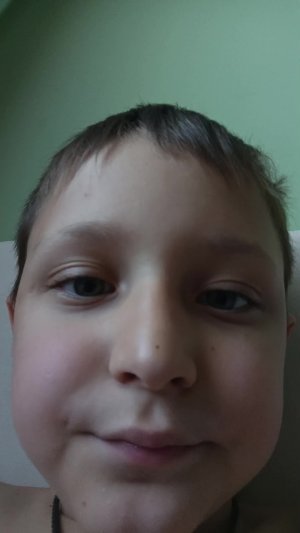 ш