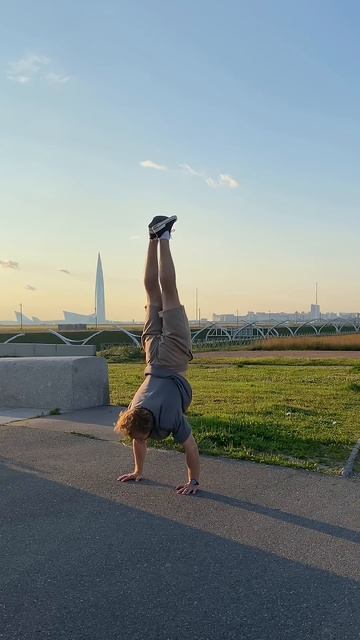 Partial planche press #shorts #sports #calisthenics смотреть онлайн