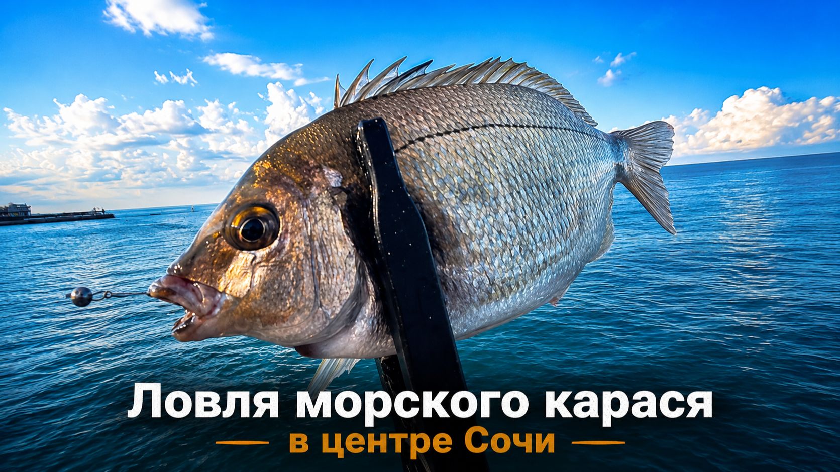 Ловля морского карася в центре Сочи смотреть онлайн