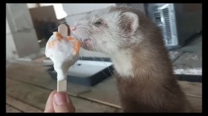 Влог как я еду домой